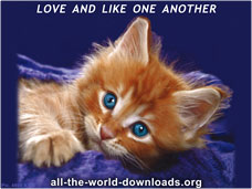 Love and like one another - pic. 4800