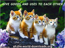 Give goods and uses to each other - pic. 4804