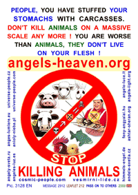  Click to magnify ... 