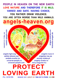  Click to magnify ... 