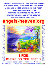  Click to magnify ... 