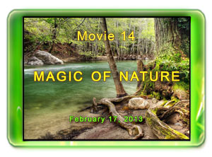  Movie 14 - Magic of Nature 