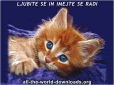 Ljubite se in imejte se radi